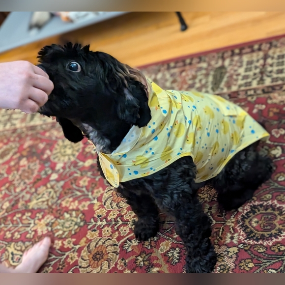 Live Show Notification!!!! - Picture 3 of 8